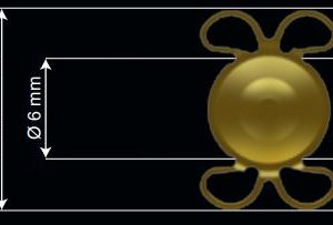 1stQ Basis Q progressive