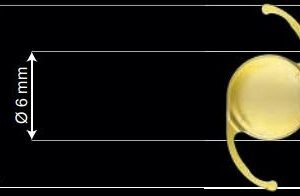 1stQ Basis V Toric Hydrophobic Preloaded