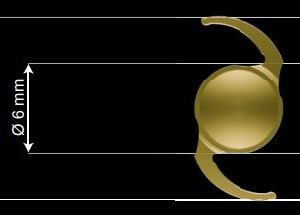 1stQ Basis Z hydrophobic