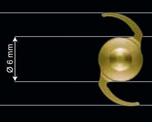 1stQ Basis Z Progressive