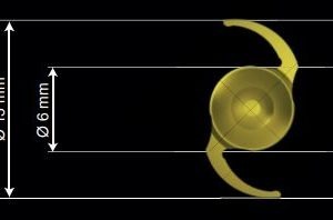 1stQ Basis Z Toric Progressive